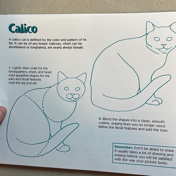 🌈2/$8  The Big Book of Drawing Dogs and Cats - Picture 12 of 12